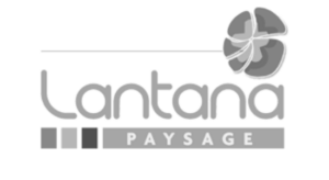 lantana